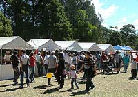 Festival Marquees